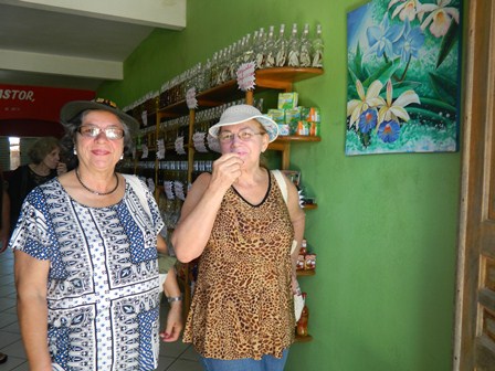 portoseguro01 7