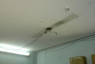 Idurb - Fiação exposta e infiltrações são os principais problemas identificados no prédio do Idurb.