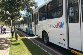transcol2